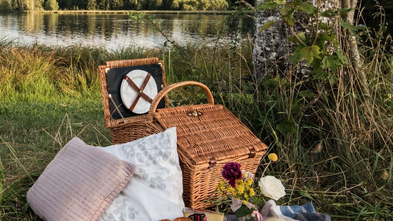 Picknick am Weiher Picknick am Weiher